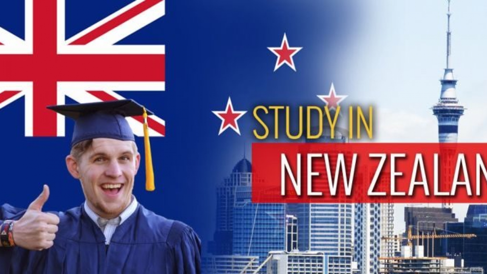 Best Cities to Study in New Zealand