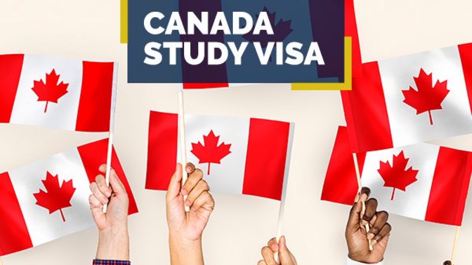 Canada Study Visa Consultant in Patiala