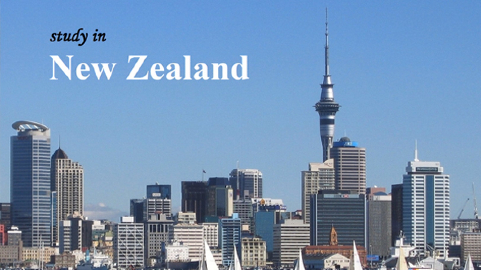 New Zealand Study Visa Consultant in Chandigarh