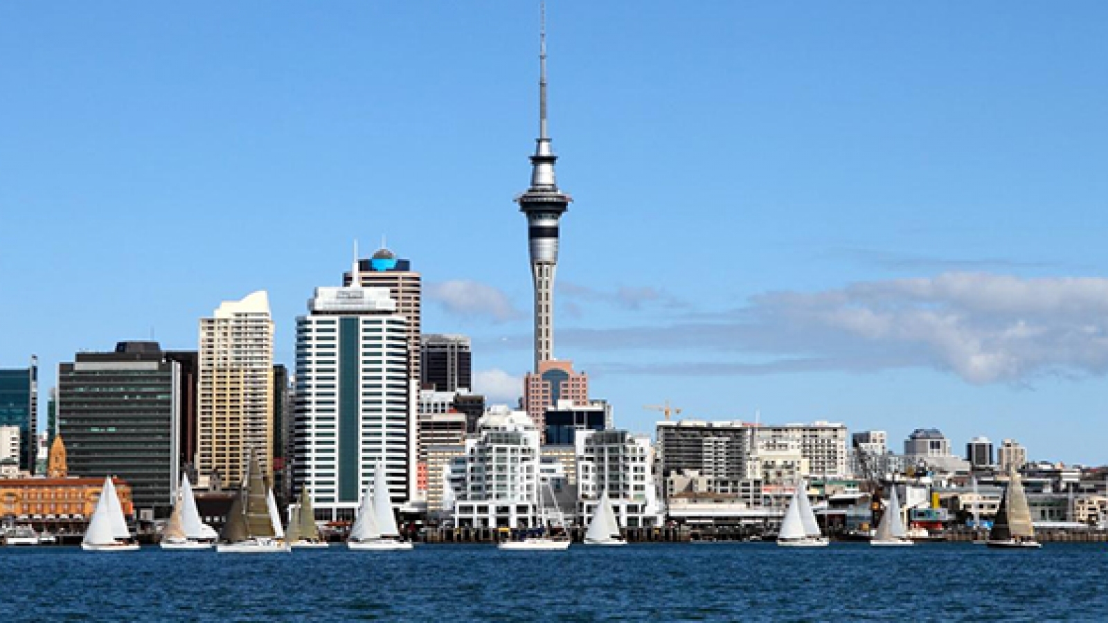 New Zealand Student Visa Procedure