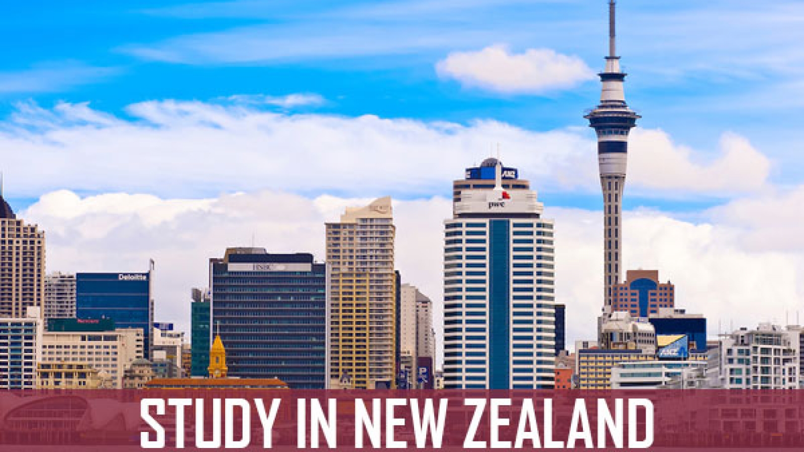 study in new zealand